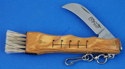 Fox Mushroom knife olivewood