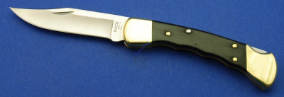 Buck Folding Hunter FG