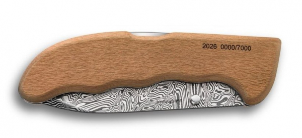 Victorinox Evoke Wood Damast LE2026