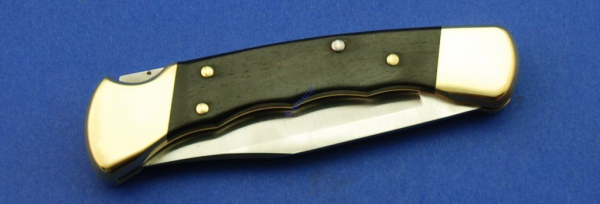 Buck Folding Hunter FG