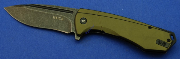 Buck Rucrus Einhandmesser grün/schwarz